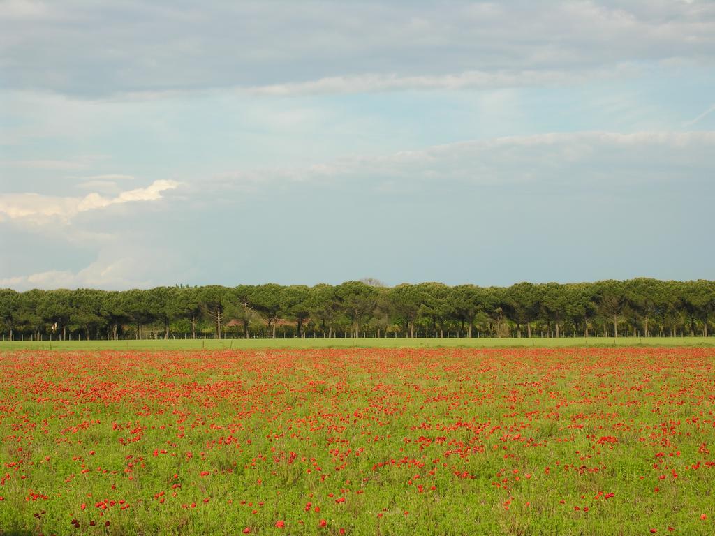 Appartamenti Mirella Bibione Exterior photo